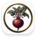 badge_icons